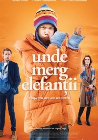 Poster Unde merg elefanții RO