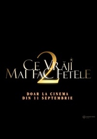 Poster Practical Magic 2 (DUB) RU